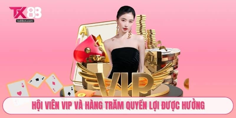 Hội viên VIP và hàng trăm quyền lợi được hưởng